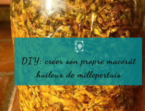 DIY: créer son macérât huileux de Millepertuis